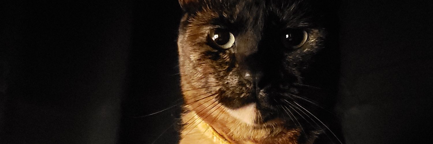 SmallestStorm's profile banner image