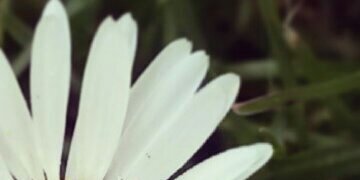 HungerGamesxxox's profile banner image