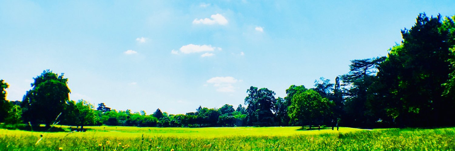 Jacques V banner