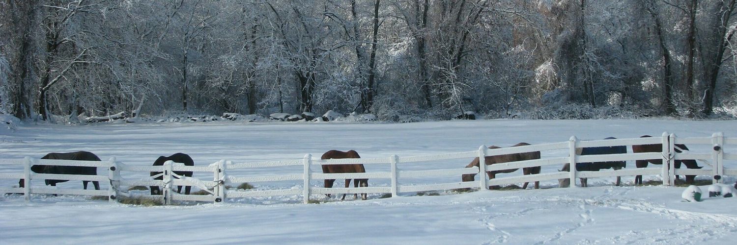 HomeFrontEquest's profile banner image