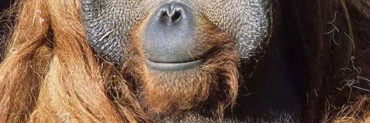 SorryButt3's profile banner image