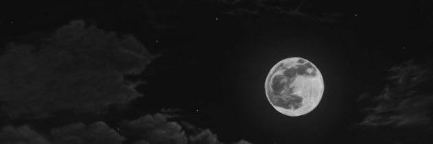 rabhan_n's profile banner image