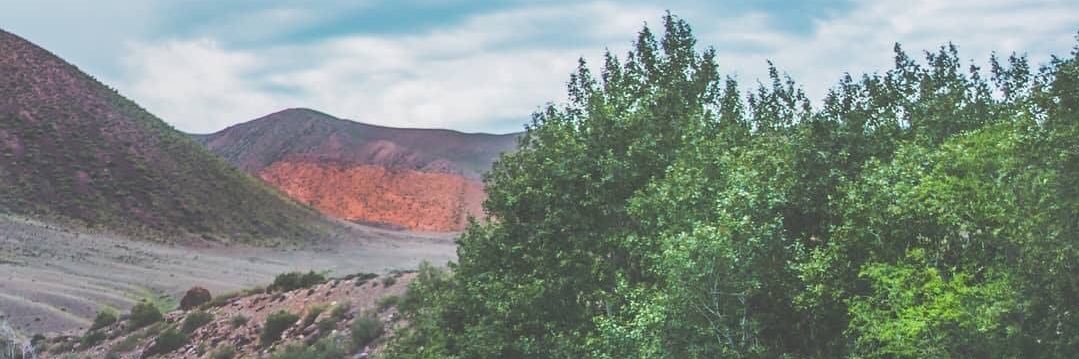 Инопришленец banner