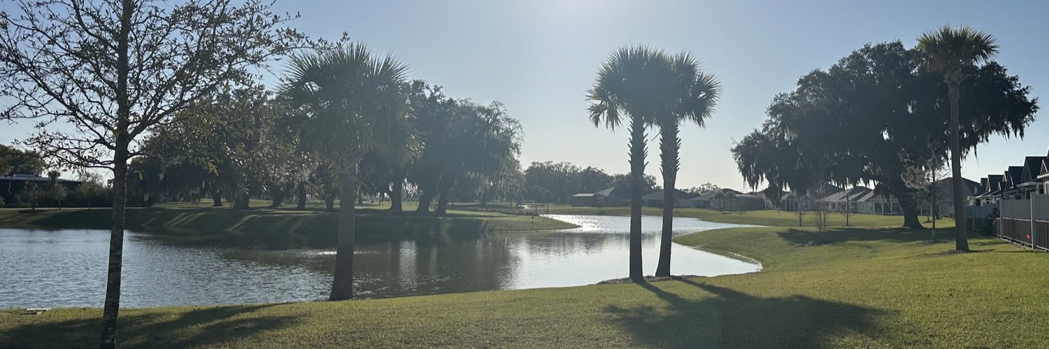 KimProcci's profile banner image