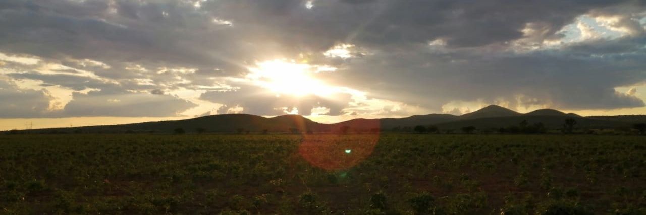 YasDelgadillo's profile banner image