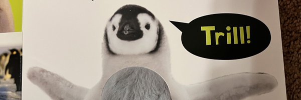 johndukeva Profile Banner