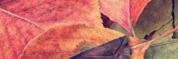 vvc_cvv_'s profile banner image