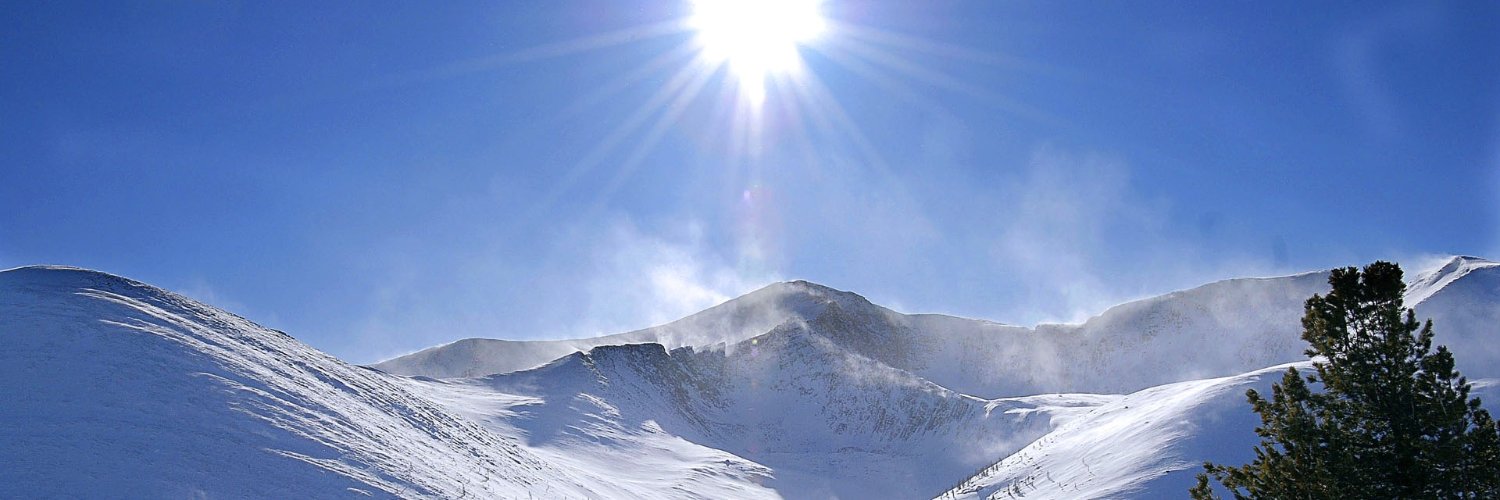Nuzzarello's profile banner image