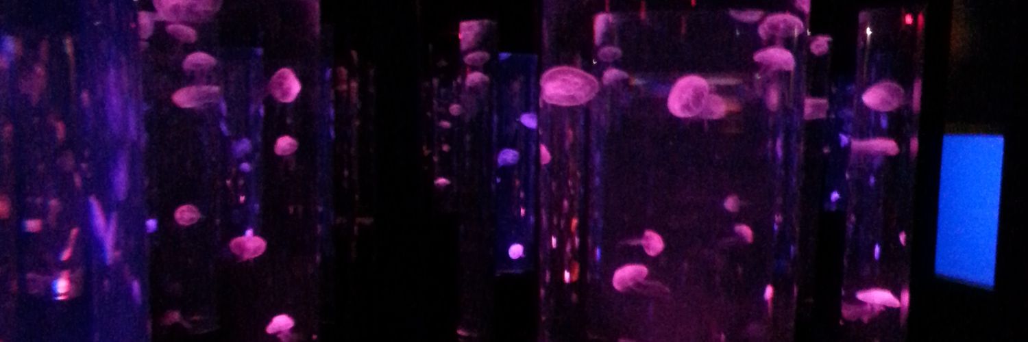 fml82267's profile banner image