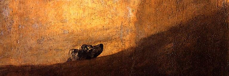 Alba T. González banner