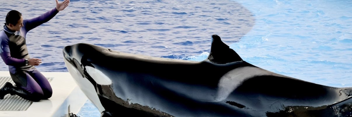 ゆうすけ@スマホ写真部 banner