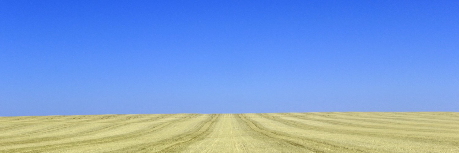 Davidization profile banner