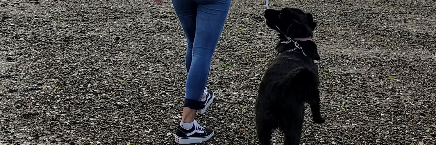 RomiEngel's profile banner image