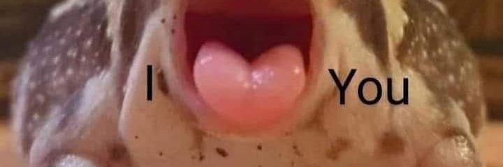 rhelwo's profile banner image