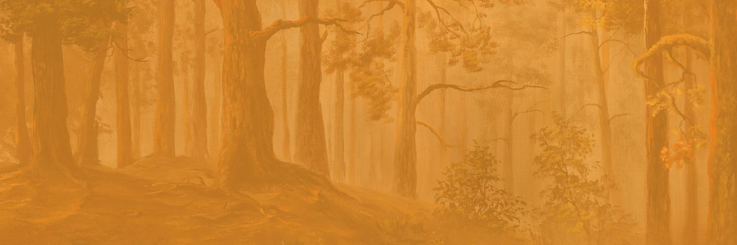 ContentBear's profile banner image
