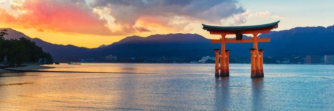 Tak. Miyajima banner