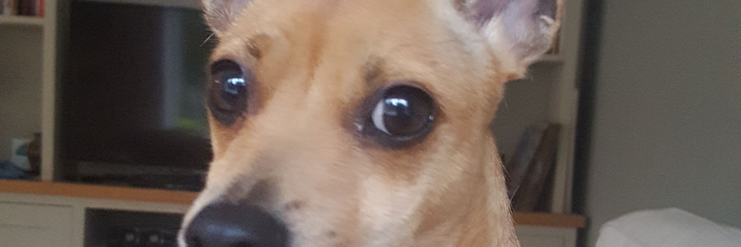 treble_0's profile banner image