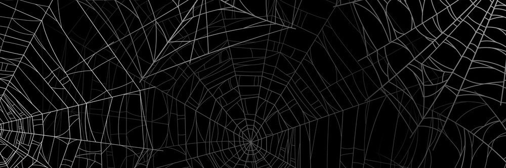 connorleannex's profile banner image