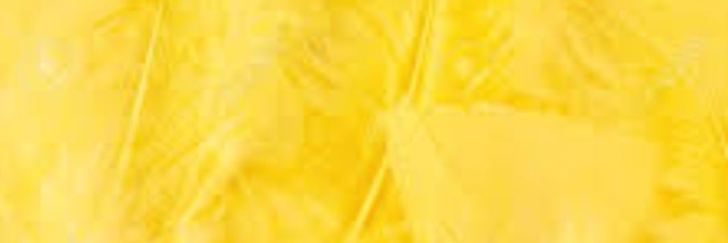 HalloweenStudio's profile banner image