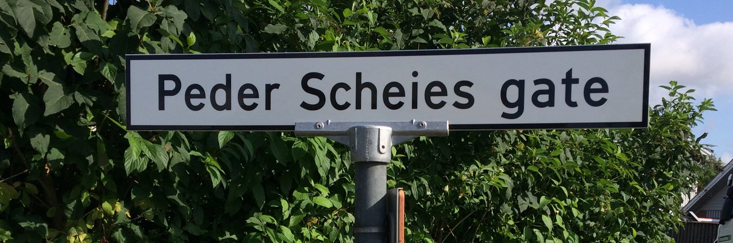 pederscheie's profile banner image