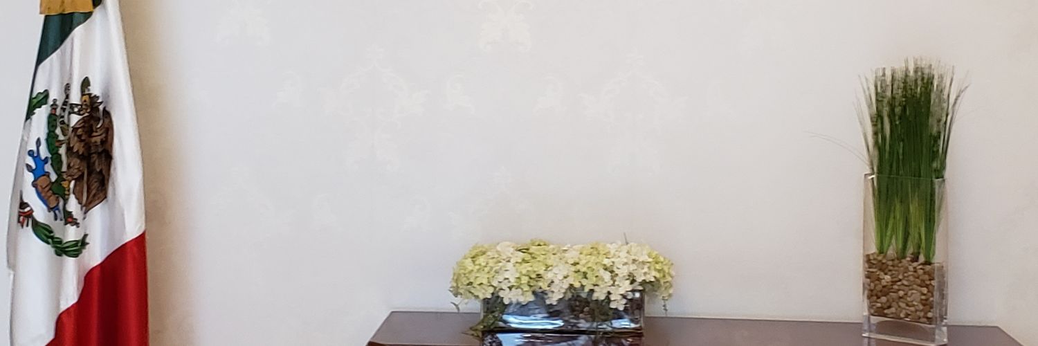 FernandoVastian's profile banner image