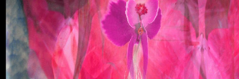 rosesdivine's profile banner image