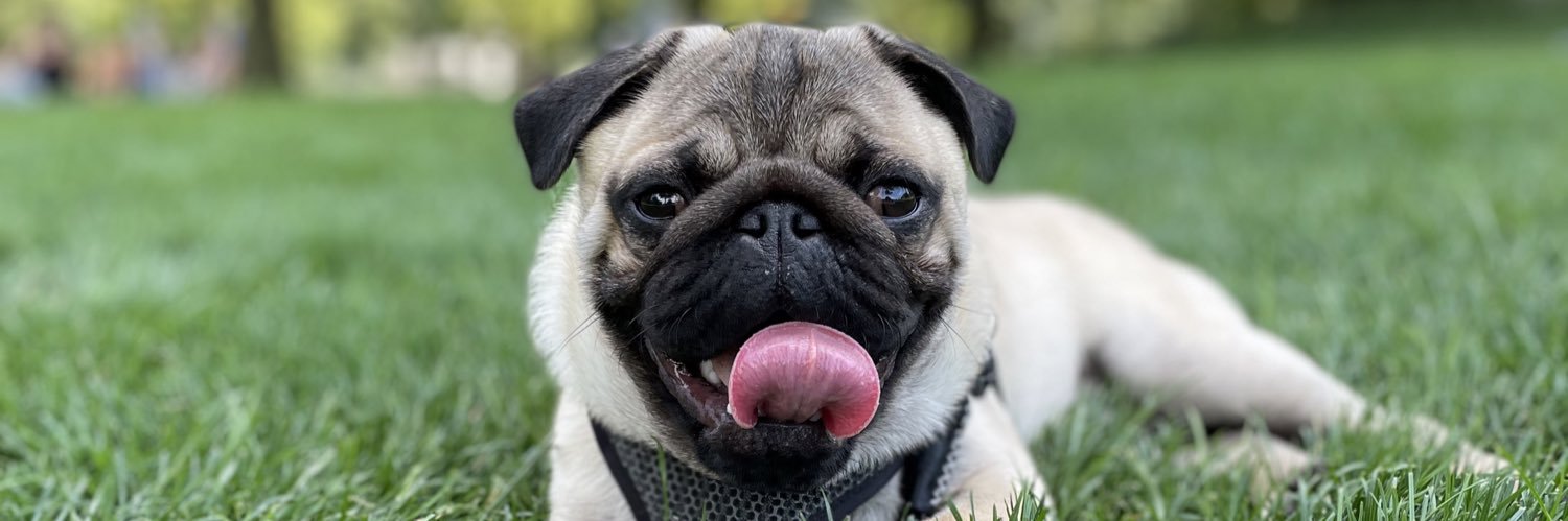 Alexi (Foster) Superko banner