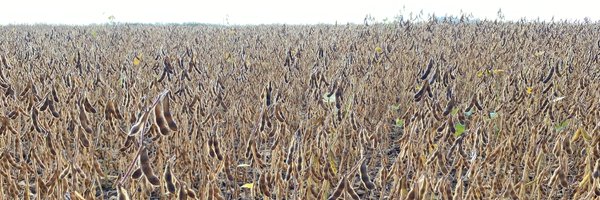 CCAOntario Profile Banner