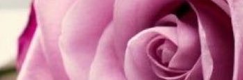 masudh1's profile banner image