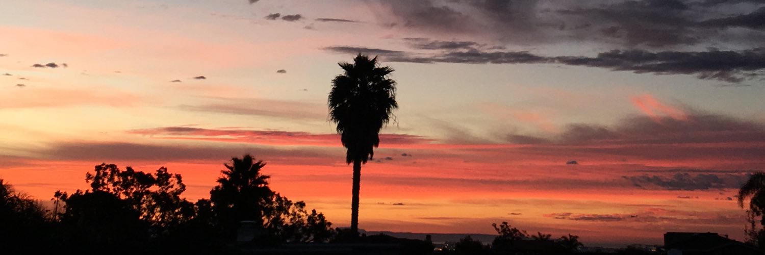 stillamee's profile banner image