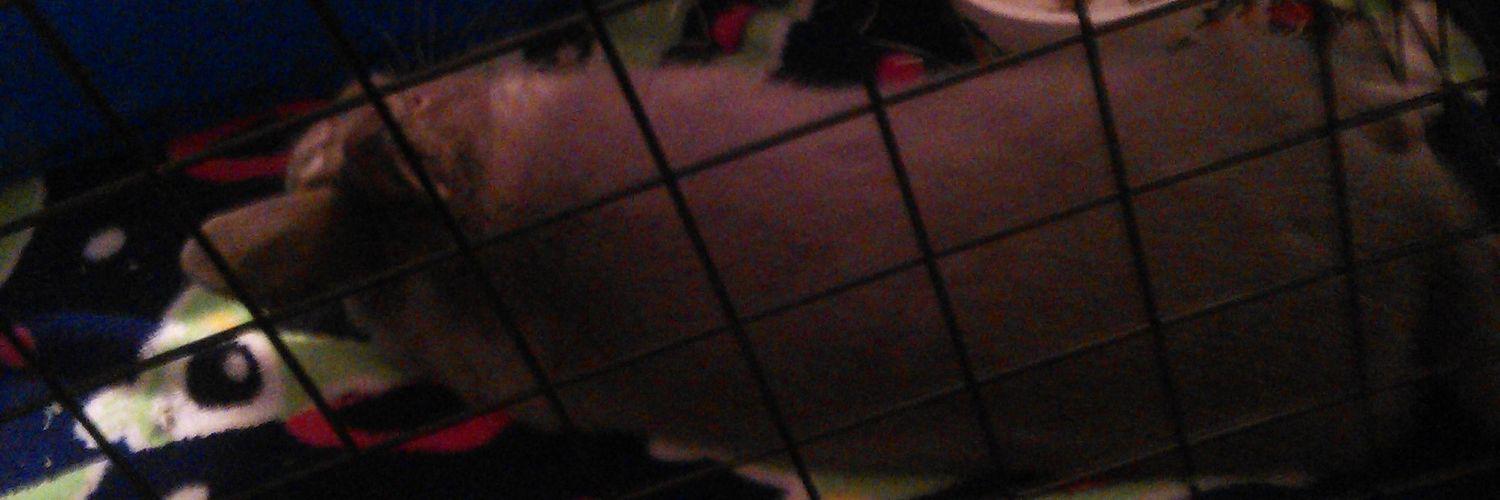 __CRUMPIT's profile banner image