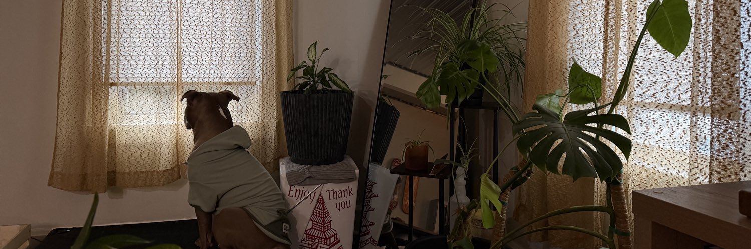 ambberlyyn's profile banner image