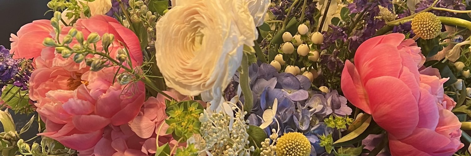 EileenSommi's profile banner image