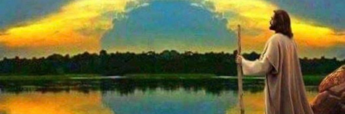 doutorcury's profile banner image