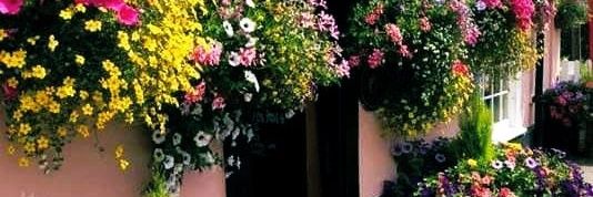 ALISHWETER's profile banner image