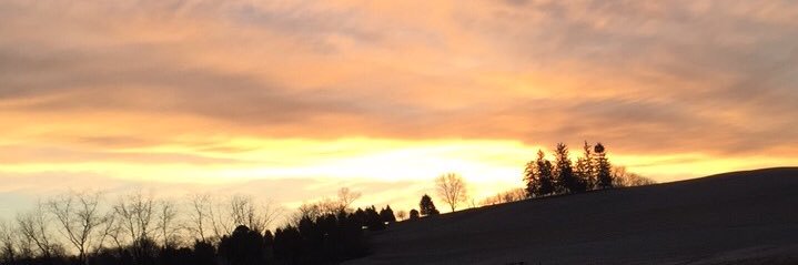dalton_turek's profile banner image