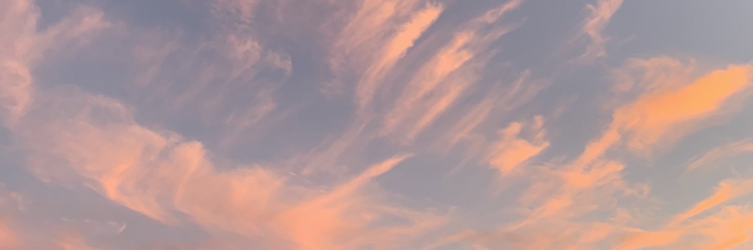 Alexa Silva banner