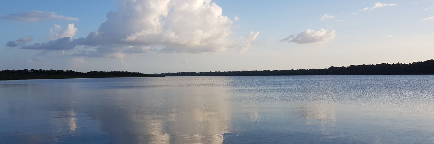 WillWheeler2's profile banner image