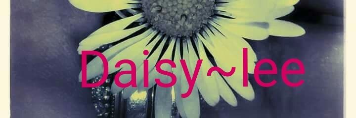 daisyleeweaving's profile banner image