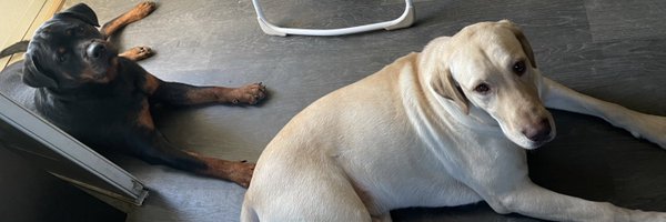 cmadd44 Profile Banner