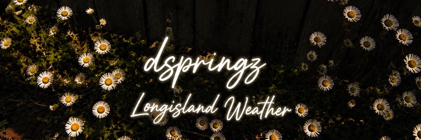 dspr1ngWX's profile banner image