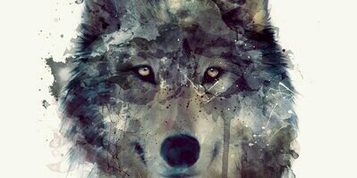 David_ft_18's profile banner image