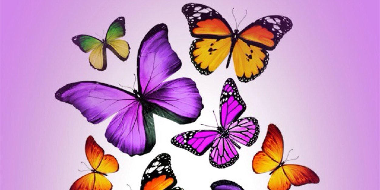 RebelliousDivas's profile banner image