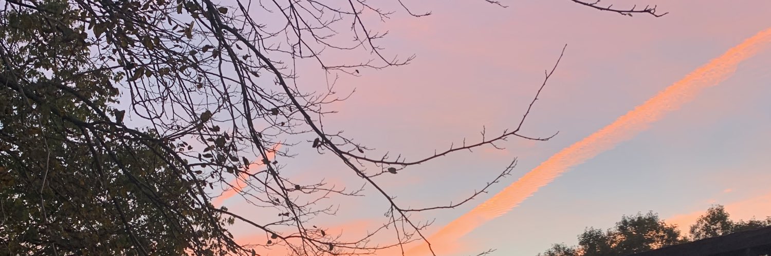 anna_mcdonald22's profile banner image