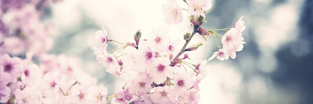 Margaux banner