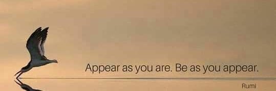 طارق العريمــي banner