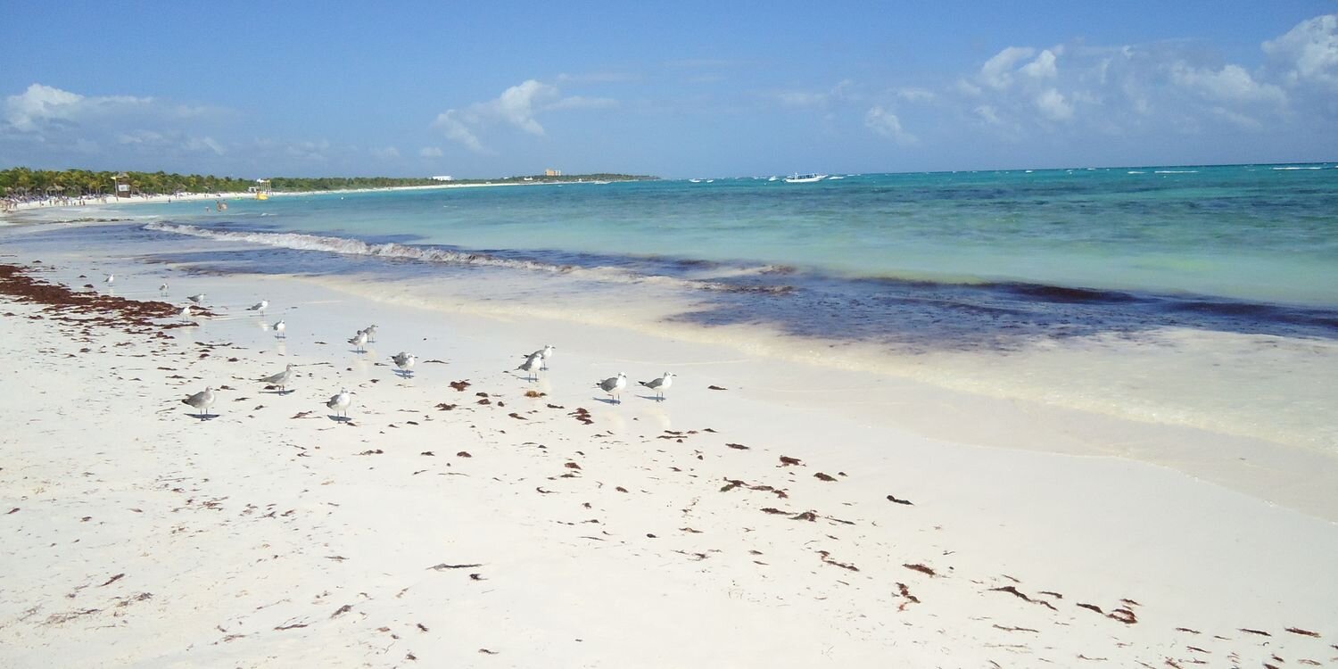 lau_solete's profile banner image