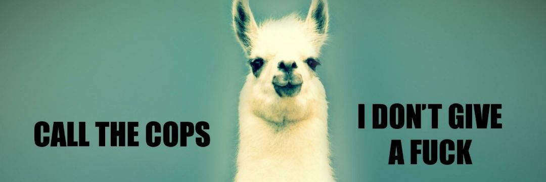 BlinkSpunk's profile banner image