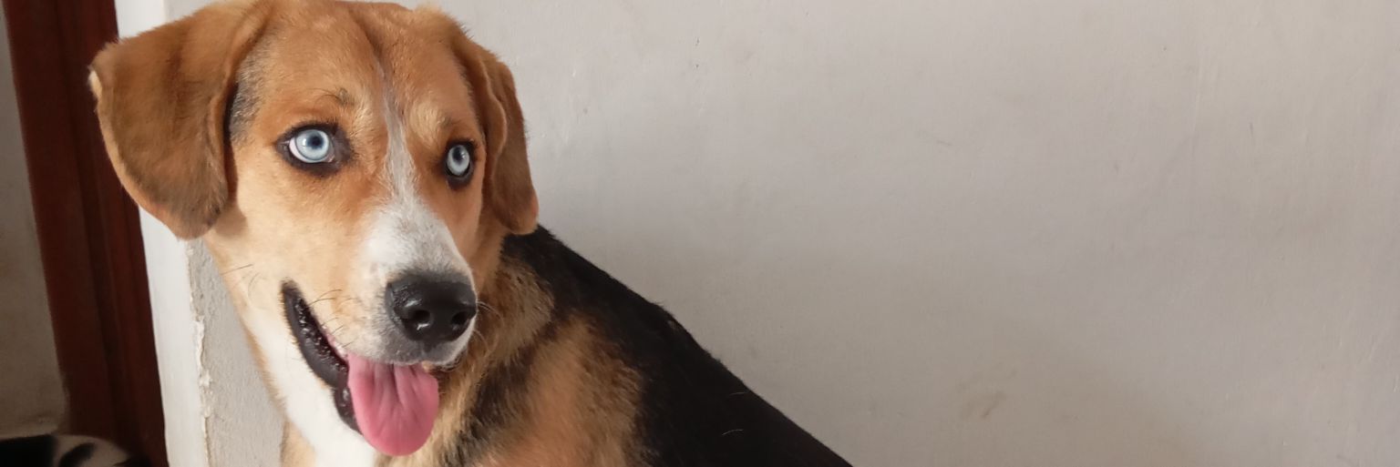 MiloMilena's profile banner image