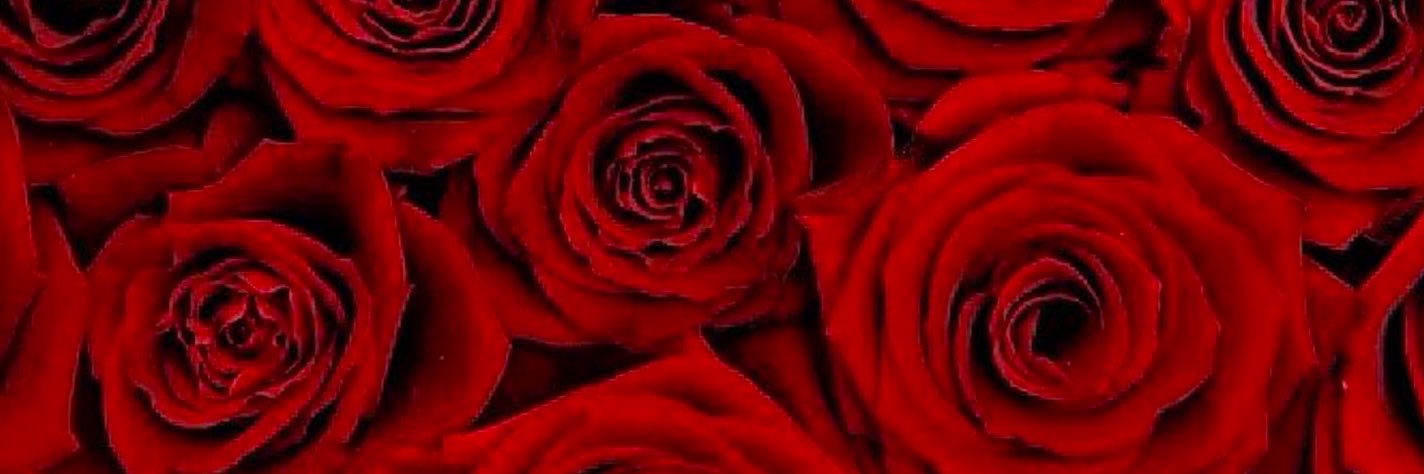 urgoddessrosee_'s profile banner image
